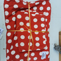 Housse de couette +1 taie (pt pois rouge )