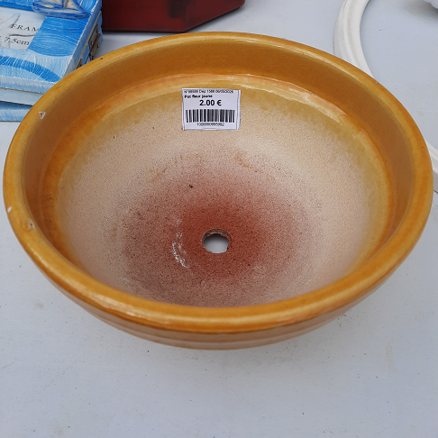 Pot fleur jaune
