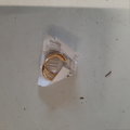 Bijou d'oreille doré
