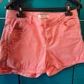 short rose NafNaf 36