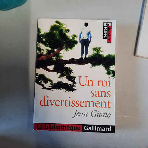 livre un roi sans divertissement