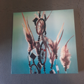 cadre déco "attrape-rêve" 28*28cm