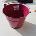pot rose