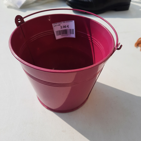 pot rose