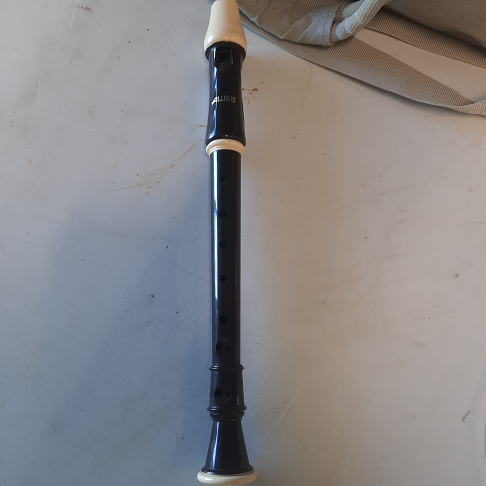 Flute à bec