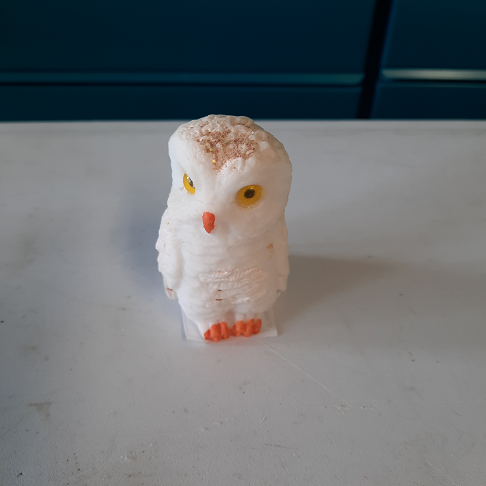 petit hiboux