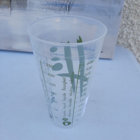 Verre doseur plastique
