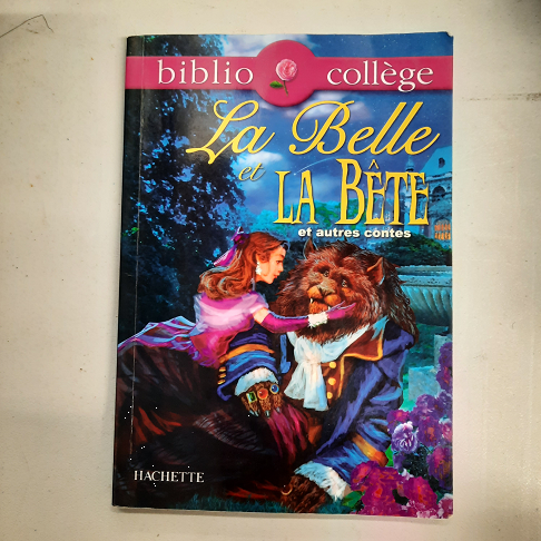 livre la belle et la bete