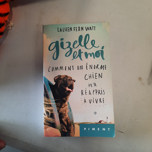 livre gizelle et moi