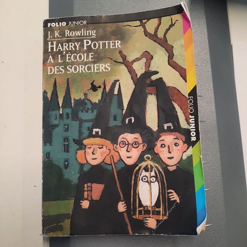 livre Harry Potter a l'école ses sorciers