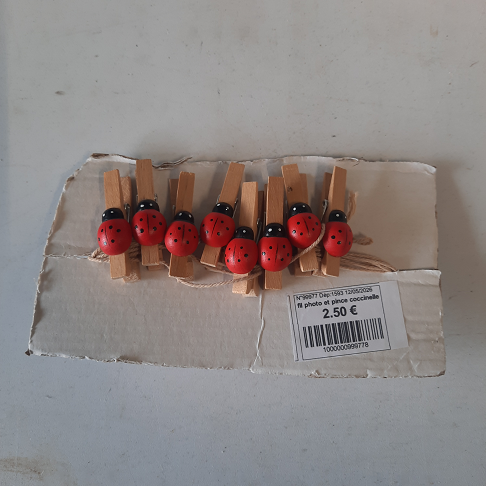 fil photo et pince coccinelle