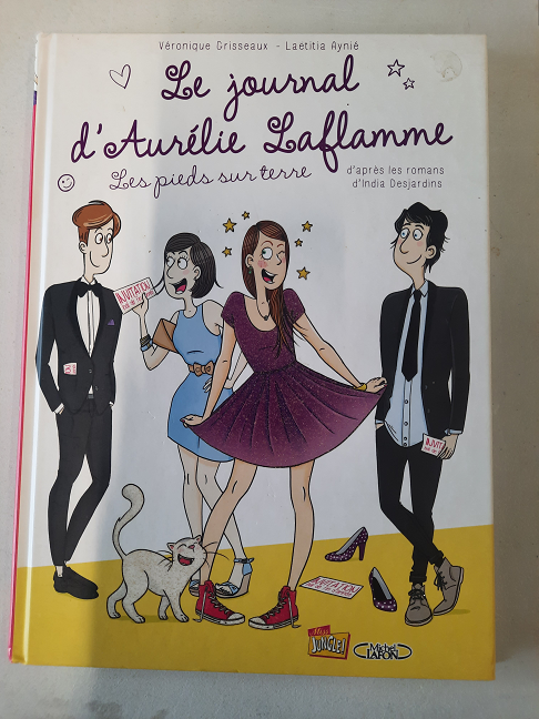 bande dessinée le journal d aurelie laflamme