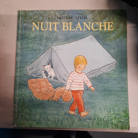 livre nuit blanche
