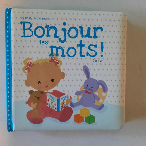 livre bonjour les mots