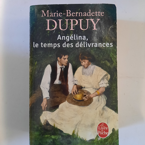 livre angelina, le temps des délivrances