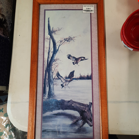 :Tableau canards sauvages :