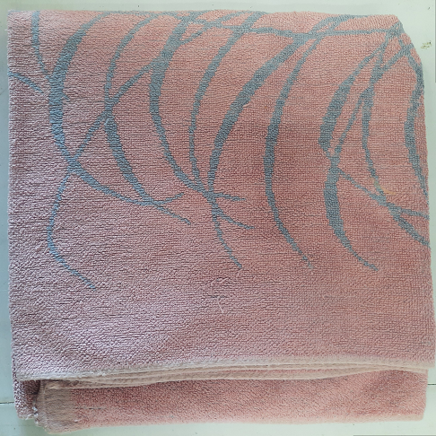1serviettes de plage