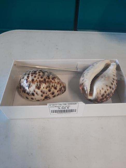 coquillages de tahiti