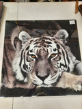 cadre tigre noir et blanc 50 x 50
