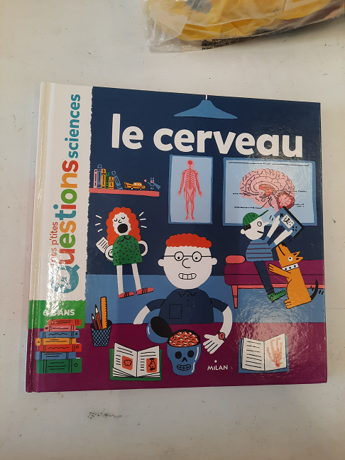 livre le cerveau
