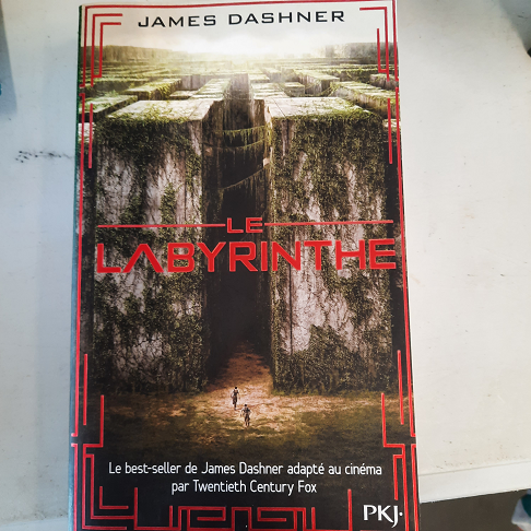livre le labyrinthe: