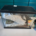 Aquarium tout équipé