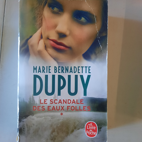 livre le scandale des eaux folles