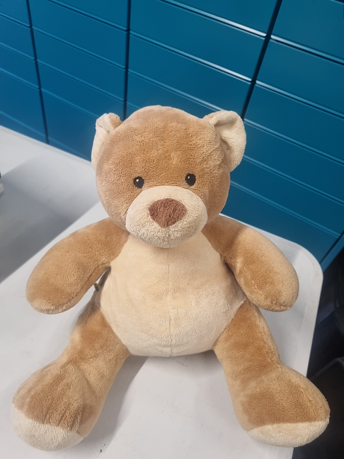 ours en peluche.