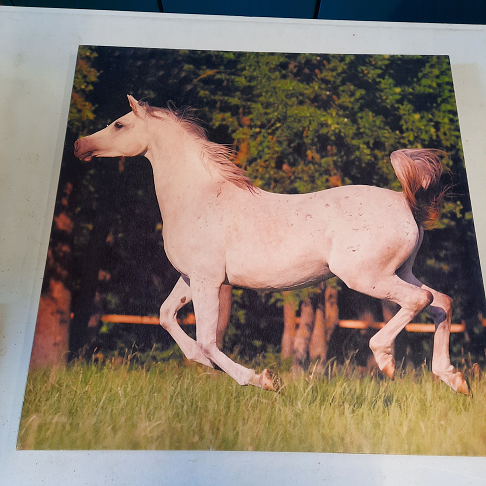 Tableau cheval