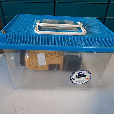 Aquarium plastique