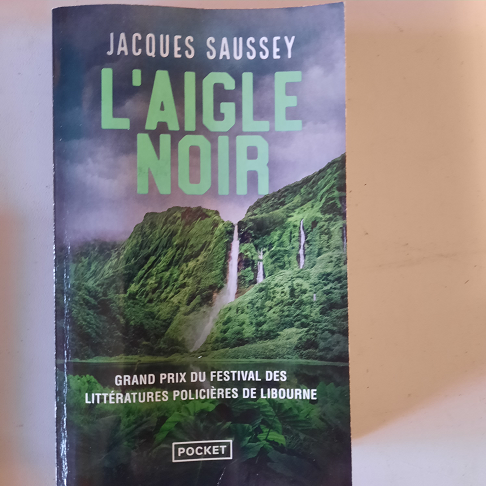 livre l aigle noir