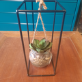 suspension plante verte