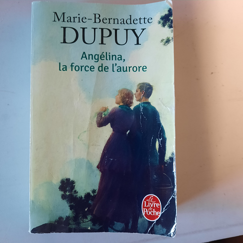 livre  angelina la force de l aurore