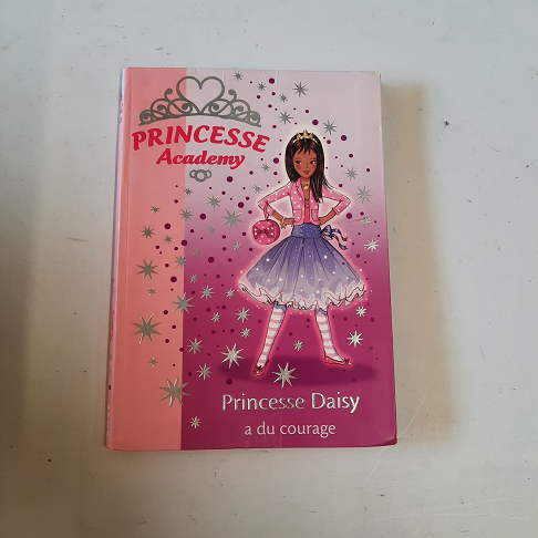 livre Princesse academy princesse daisy a du courage