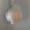 pelote laine beige