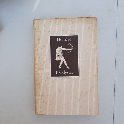 Livre l'odyssée..