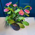 Fausses plantes roses