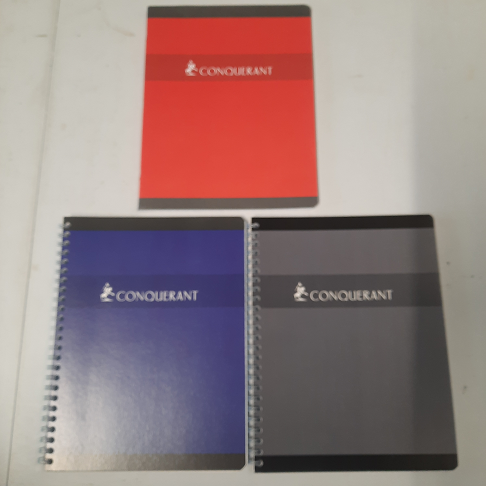 lot de 3 cahier neuf