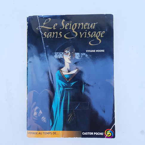 livre le seigneur sans visage