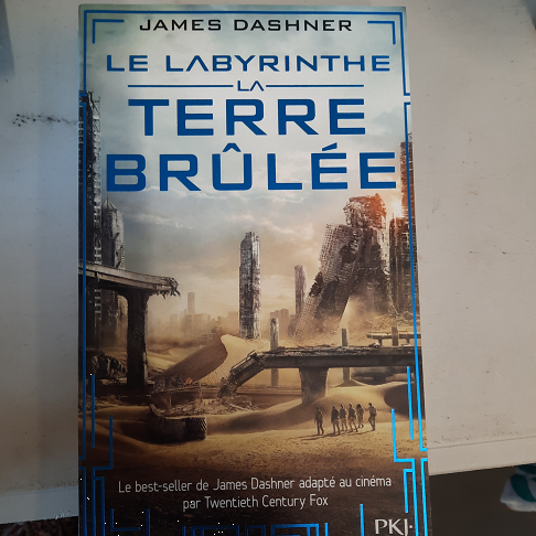 livre terre brulee