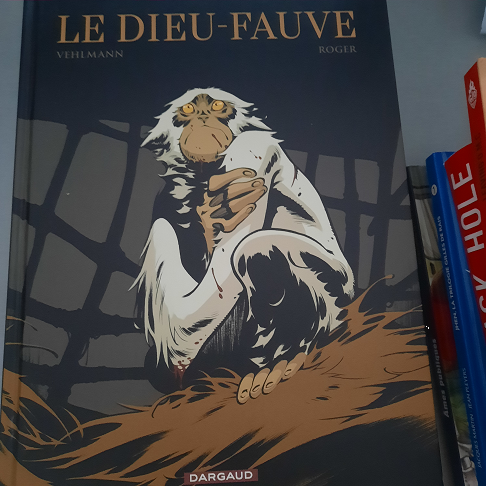 bande dessinée le dieu fauve