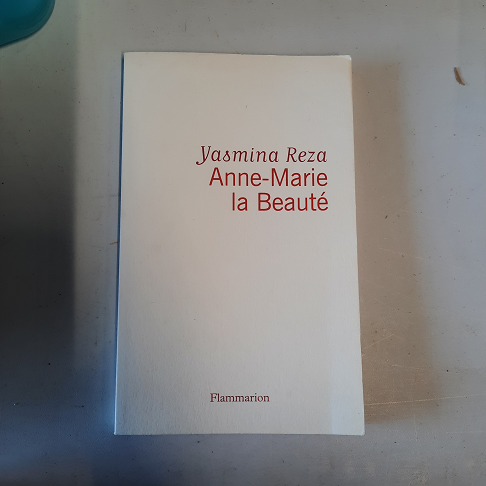 livre anne-marie la beauté